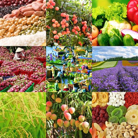 agriculture materials|agricultural products definition.